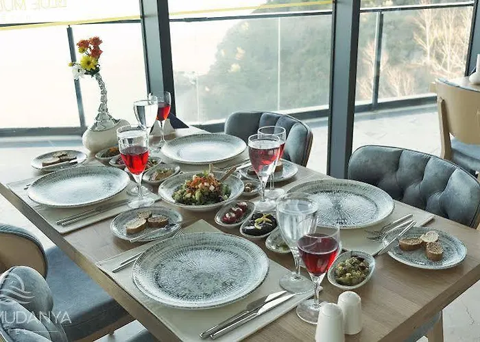 Hotel Blue Mudanya 4*