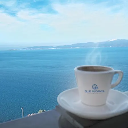 Отель Blue Mudanya