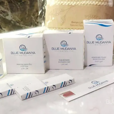 Blue Mudanya 4*